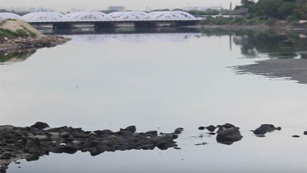 பெருங்குடி, முகப்பேர்
