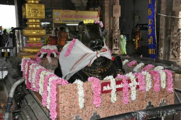 மகாலட்சுமி அருள்