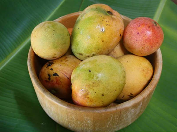 ஆகஸ்டிலும் ஆனந்தம்