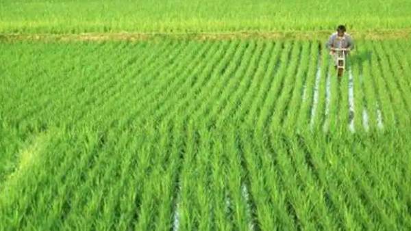 Tamil Nadus first agriculture budget will be presented on august 14 Tamil Nadus first agriculture budget will be presented on august 14