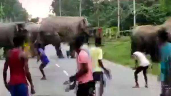 சிதறி அடித்து ஓடிய இளைஞர்கள்