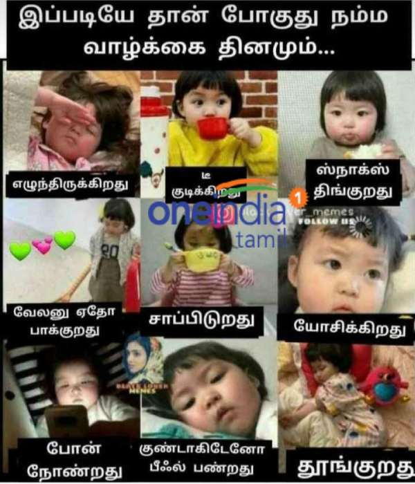 Viral memes collection on daily routine Viral memes collection on daily routine