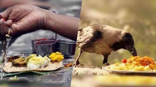 முன்னோர்களின் ஆசி