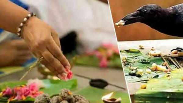 பித்ரு பூஜையின் மகிமை