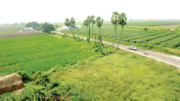 இரு மாதங்கள்