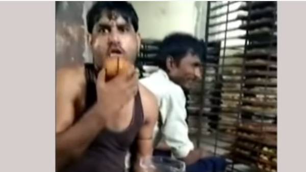 பெரியவர்கள் வரை