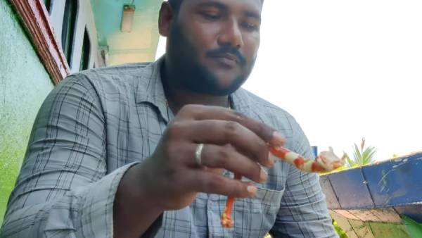 தேடல்