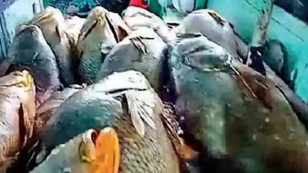 என்ன நடந்தது