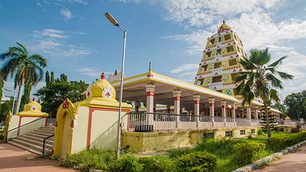 நெளிந்த புழுக்கள்
