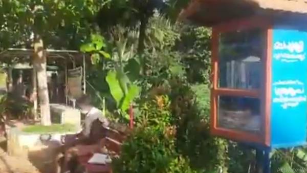 தேன் கூடு, குருவி கூடு, குளவி கூடெல்லாம் கேள்விப்பட்டிருக்கீங்க! அதென்ன புத்தக கூடு.. வைரல் வீடியோ 