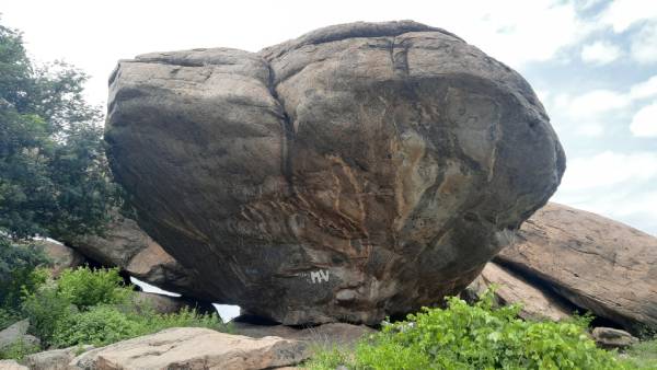 ஓவியத்தில் மான்