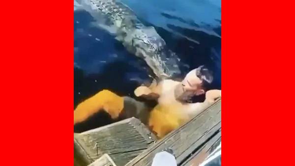 திக்.. திக்.. ஏரிக்கரையில் ஒரே பரபரப்பு.. நீந்தி கொண்டிருந்த நபர்.. திடீர்னு வந்த முதலை.. என்னாச்சு?