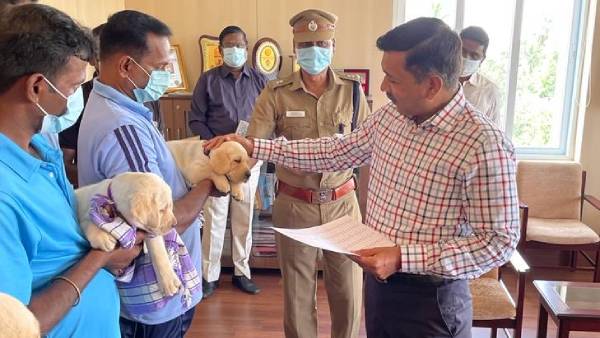 புற்றுநோய்கள்