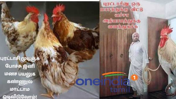 These are some jolly memes collection on purattasi month ending These are some jolly memes collection on purattasi month ending