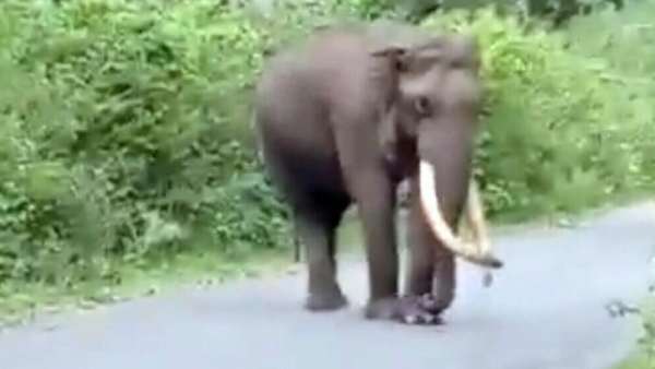 கணவன்-மனைவி நடைபயிற்சி சென்றனர்