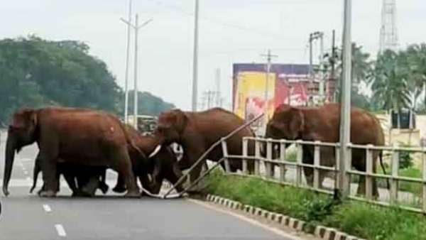 வனத்துறையினர் எச்சரிக்கை