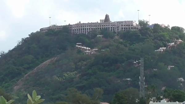 உதவி கமிஷனர்