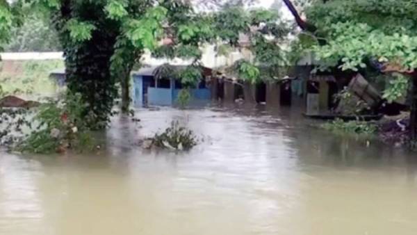 தாமிரபரணியில் வெள்ளம்