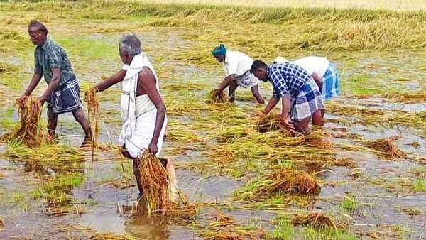 மாவட்டங்கள்