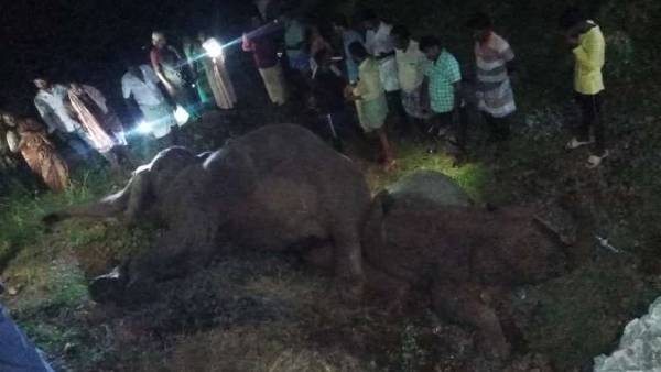 தொடர்கதையாக உள்ளது