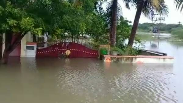 வீடியோ