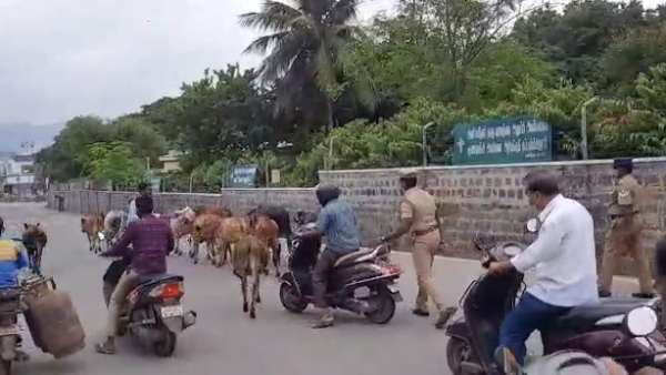 போக்குவரத்து நெரிசல்