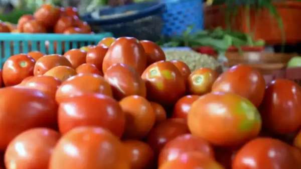 Tomato prices rise again Drumstick prices peak Tomato prices rise again Drumstick prices peak