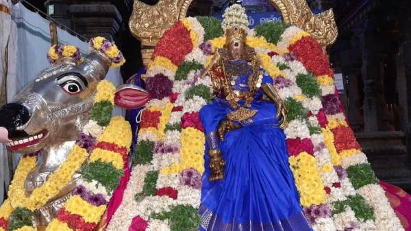 நகர்வலம் வந்த மீனாட்சி சுந்தரேஸ்வரர்