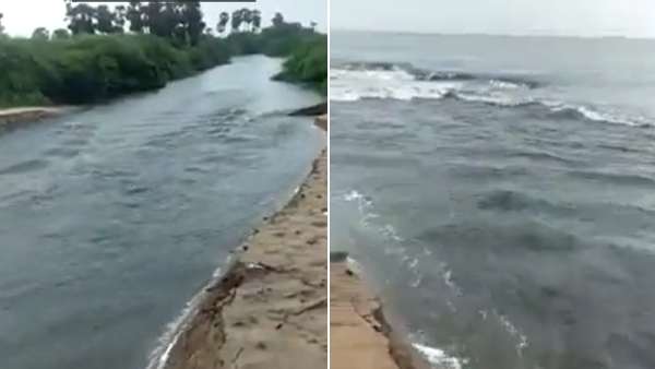 பூம்புகார் கடலில் கலக்கும் காவிரி ஆறு.. ரம்மியமான காட்சி.. வைரல் வீடியோ! ஆனால்...! 