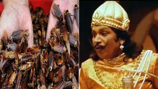 சீச்சீ.. இதெல்லாமா சாப்பிடுவாங்க.. அதுவும் 3 நாள் சுடுநீரில் ஊற வைத்து.. மிரள வைக்கும் \