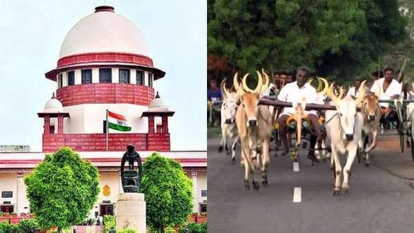 ரேக்ளா பந்தயமும் ஜல்லிக்கட்டும் ஒன்றல்ல: மஹாராஷ்ட்ரா  வழக்கில் உச்ச நீதிமன்றத்தில் தமிழக அரசு பதில் 