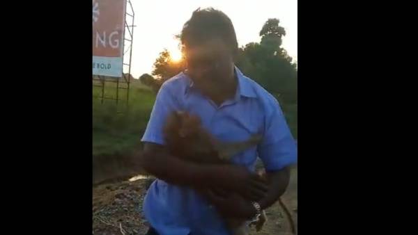 வாயோடு வாய் வைத்து.. குரங்கின் உயிரை காப்பாற்றிய பெரம்பலூர் இளைஞர்.. வைரல் வீடியோ..குவியும் பாராட்டு