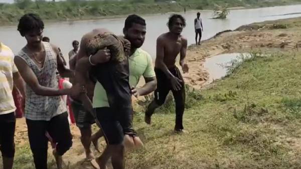 உடற்கூறு ஆய்வு