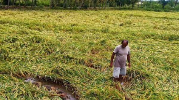 தீர்மானம்: 2