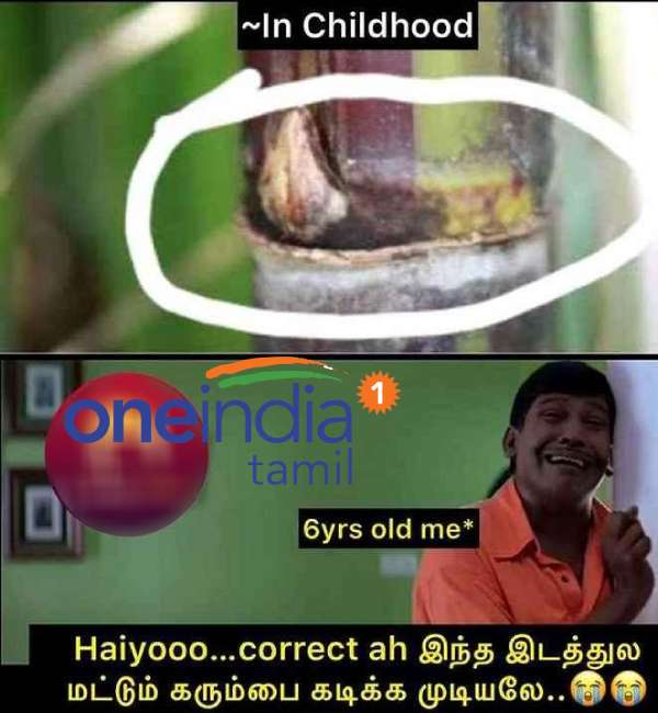 Pongal memes: Funny memes collection on mattu Pongal celebration Pongal memes: Funny memes collection on mattu Pongal celebration