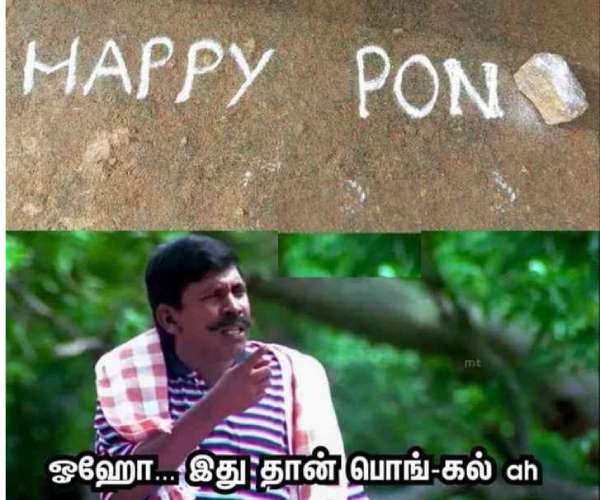 Pongal memes: Funny memes collection on Pongal Pongal memes: Funny memes collection on Pongal