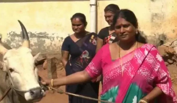 திருநங்கை