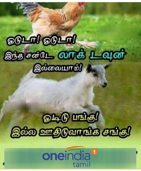 Funny memes collection on sunday 30.01.2022 Funny memes collection on sunday 30.01.2022