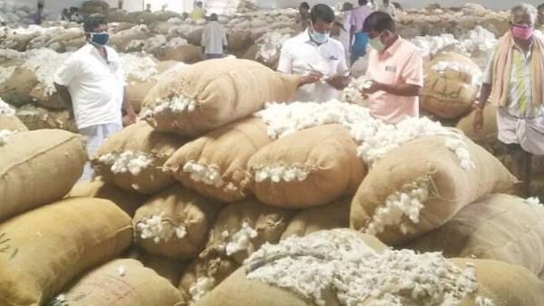 மத்திய அரசுக்கு கோரிக்கை