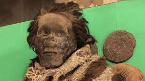 பல்லாயிரம் வருட பழைய மம்மி.. தலையில் இருந்த குட்டி பேன்.. ஆராய்ச்சி செய்தால் எதிர்பார்க்காத ட்விஸ்ட் 