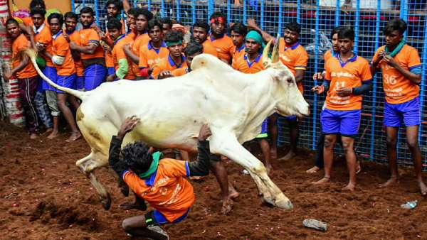என்னென்ன ஏற்பாடுகள்