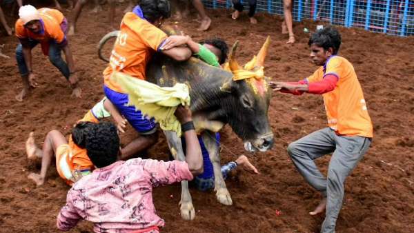 வீரர்கள் உறுதிமொழி