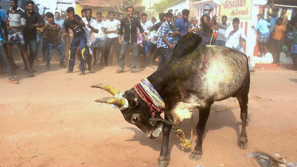 பரிசு