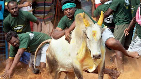 அமைச்சர் பாராட்டு