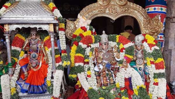 மதுரை மீனாட்சி