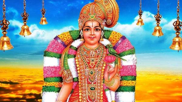 நெய் வழிய அக்கார அடிசல்