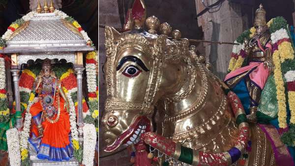 தெப்பத்திருவிழா