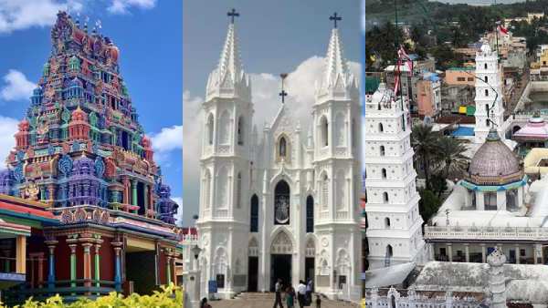 தினசரியும் சாமி தரிசனம்