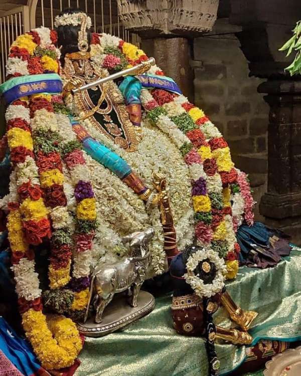 Vaikunta Ekadasi 2022: Sorgavasal Tirappu in Tamil Nadu Perumal Temple Devotees Sami Dharisanam Vaikunta Ekadasi 2022: Sorgavasal Tirappu in Tamil Nadu Perumal Temple Devotees Sami Dharisanam