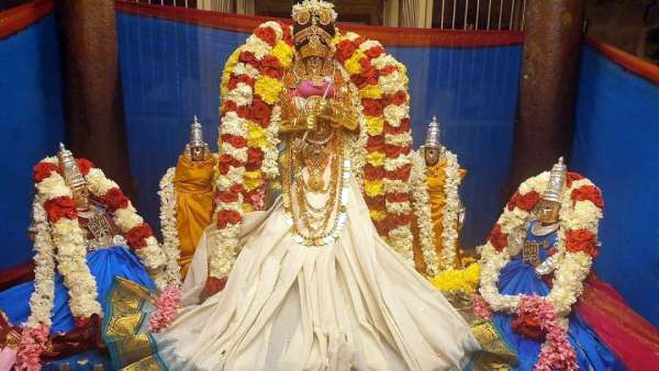 Vaikunta Ekadasi 2022: Sorgavasal Tirappu in Tamil Nadu Perumal Temple Devotees Sami Dharisanam Vaikunta Ekadasi 2022: Sorgavasal Tirappu in Tamil Nadu Perumal Temple Devotees Sami Dharisanam
